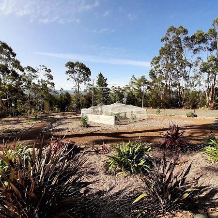 Spring Beach Garden Retreat Exterior foto